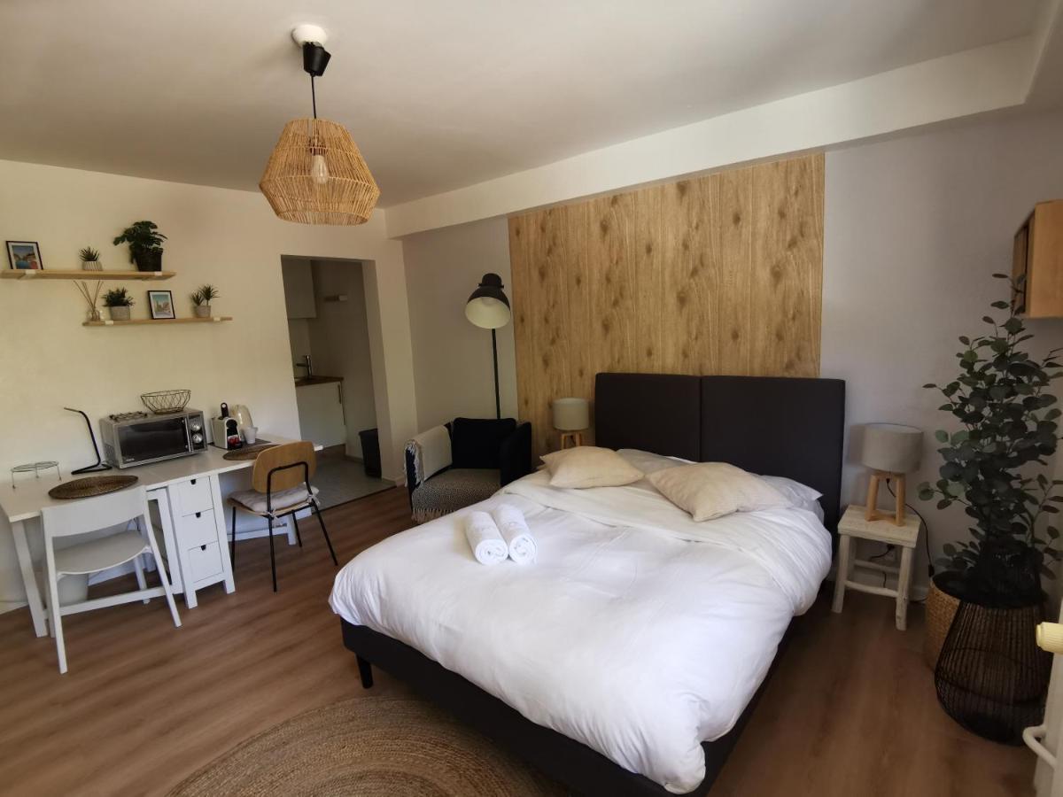 Marnesia - Studio Avec Vue Sur Les Quais Strasbourg Exterior photo